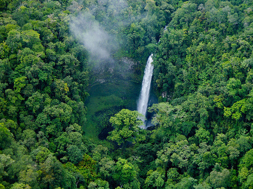 beingindonesian:  Remote waterfall deep in tropical jungle of Kalimantan, Indonesia. (by MAF_US)