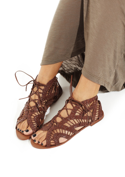 STEVE MADDEN paiigge gladiator sandal