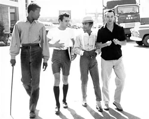 horaetio:frankie-machine:Sidney Poitier, Tony Curtis, Sammy Davis, Jr. and Jack Lemmon photographed 