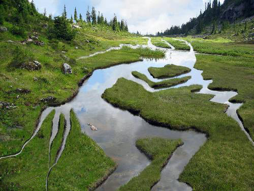 l0thl0rien:  herama:  Kokopelli Landscape. IT LOOKS LIKE A MISCHIEVOUS TREE NYMPH PLAYING A LONG WAV