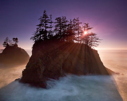 skeletales:  Southern Oregon Coast (by Jesse