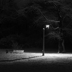 Berlin-Köpenick, Bellevue-Park, Dec. 2010