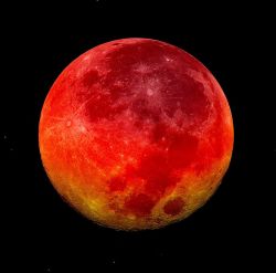 bitwisexor:  And I beheld when he had opened the sixth seal, and, lo, there was a great earthquake; and the sun became black as sackcloth of hair, and the moon became as blood; spaceporn:  The Blood Red Moon: A Lunar Eclipse |  