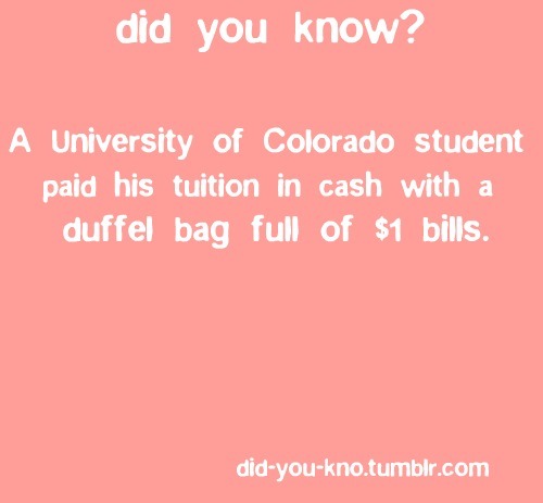 did-you-kno:He (Nic Ramos) brought in a duffel bag filled with 14,309 dollar bills, a 50-cent piece,