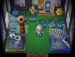 Olias:  Frogs Are A Symbol For Me  I Love Frogs My First Floor On Animal Crossing