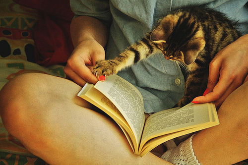 jadoremonamor:  THIS MAKES ME WANT A KITTEN :3 