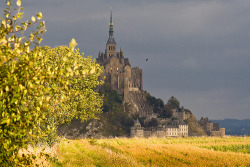 allthingseurope:  Mont Saint-Michel, France (by PHOTO@E.T.) 