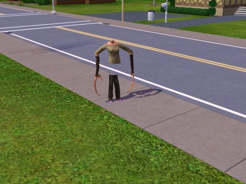 castielismydivision:  fineass-chairfucker:  simsgonewrong:  found this outside my sim’s house. stood there for about an hour or two.  Run.  :| 