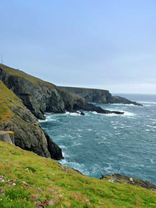 Mizuna, West Cork, Ireland