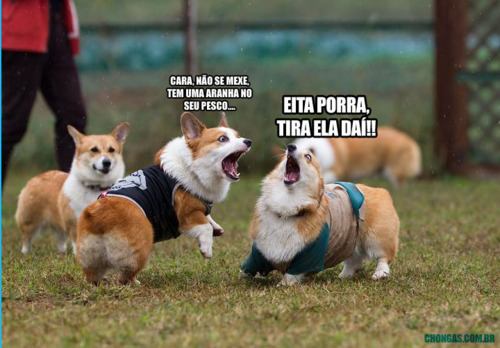 marifrancelin:     kkkk 