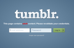 mattsbrickgallery:  atheistinspiration:  If somebody new follows you and you go to check out their page and you see THIS, beware! It’s a phishing attack.  Public Service Announcement. DO NOT SIGN INTO THIS FAKE TUMBLR.  If you do make the mistake and