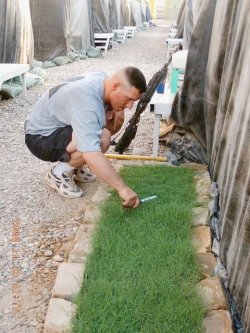 trinimadad:  open-your-heart-a-little: Here is a Soldier stationed in Iraq in a big sand box. He asked his wife to send him dirt (U.S. soil),fertilizer &amp; some grass seed so that he can have the sweet aroma and feel the grass grow beneath his feet.