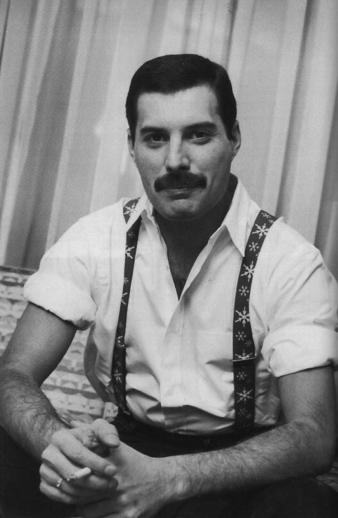 talent-only: Freddie Mercury