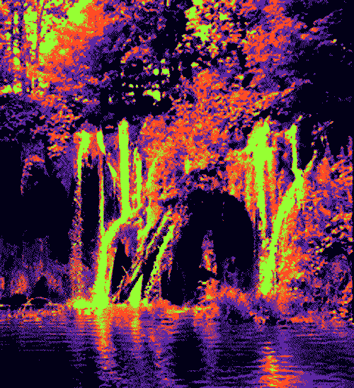 psychedelicacies