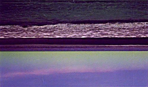psychedelicacies