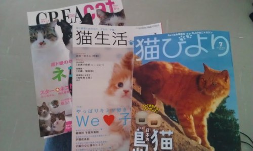 Why yes, these are three cat magazines. Full adult photos