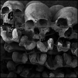 fauvette:  Pile of skulls, Fontanelle Cemetery