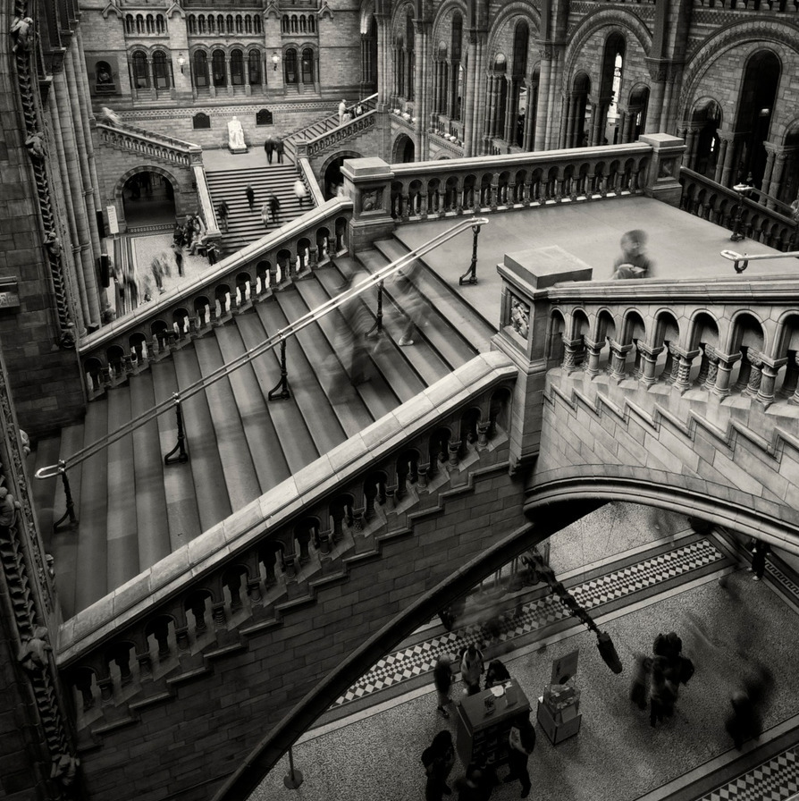 suckthislemon:  photo by Iain Gilmour 