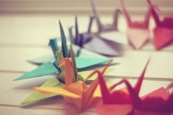 happyhues:  Rainbow paper cranes! (via VisualizeUs)