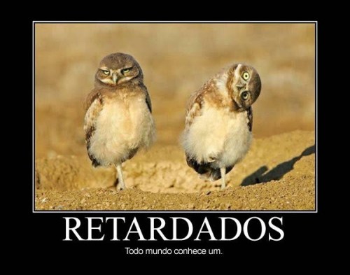 myfellings4you:  KKKKKKKKKKKKKKKKKKKKKKKK OLHA A CARA DO OUTRO TIPO: AI DEUS ¬¬ KKKKKKKKKKKKKKKKKKKKKKKKKKKKKKKKKKK 