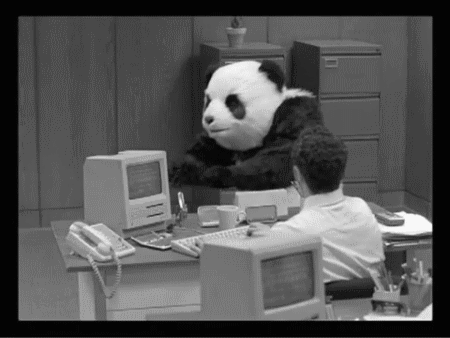 Ursos pandas, passam metade do dia dormindo e comendo, eu passo metade do dia, dormindo e comendo, então eu sou um panda.