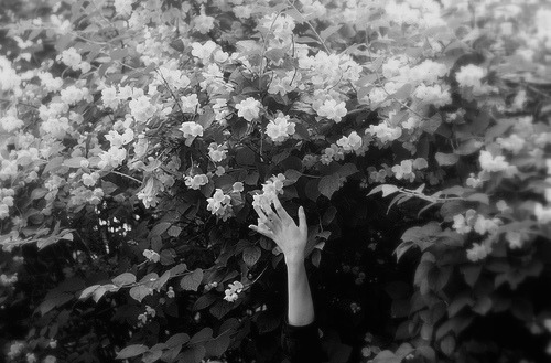 hattiewatson.tumblr.com/post/14814092093/