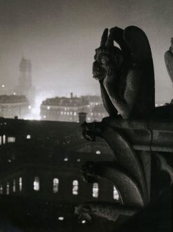 liquidnight:  Brassaï Notre Dame Gargoyle