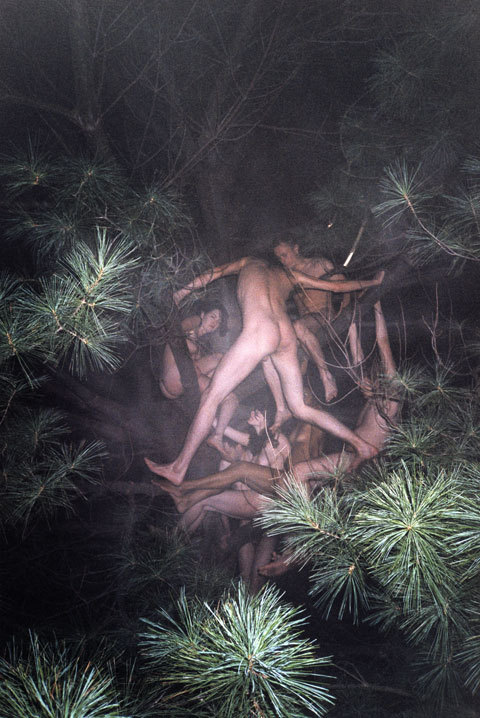 Porn Pics ryan mcginley / tree