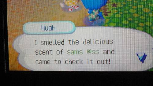 thugjuggalo:  samanthaxnicole:  oh animal crossing lmao  my sisters friends game 