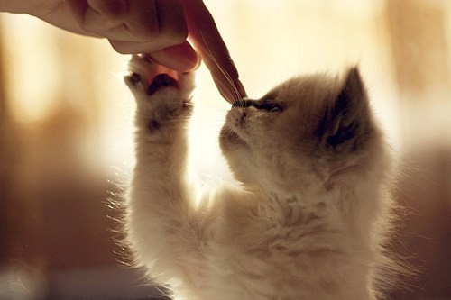 Be Tender
