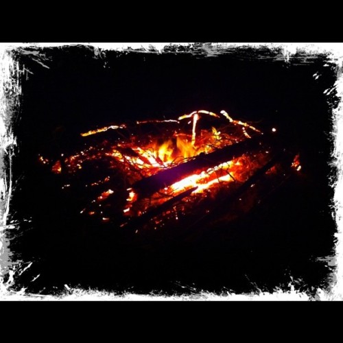 Porn Beach Bonfire at Night (Taken with instagram) photos