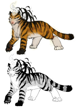 i drawd a tiegr i studied tigers for like