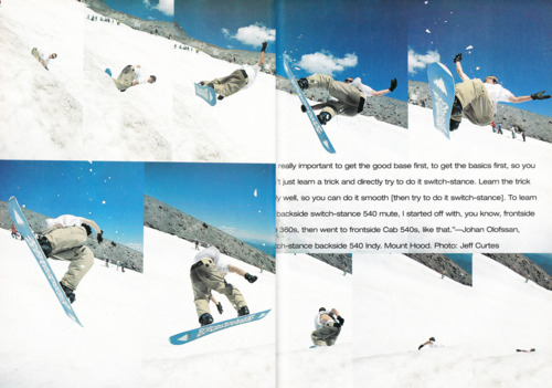 snowboard collector — Burton Brushie (1995)