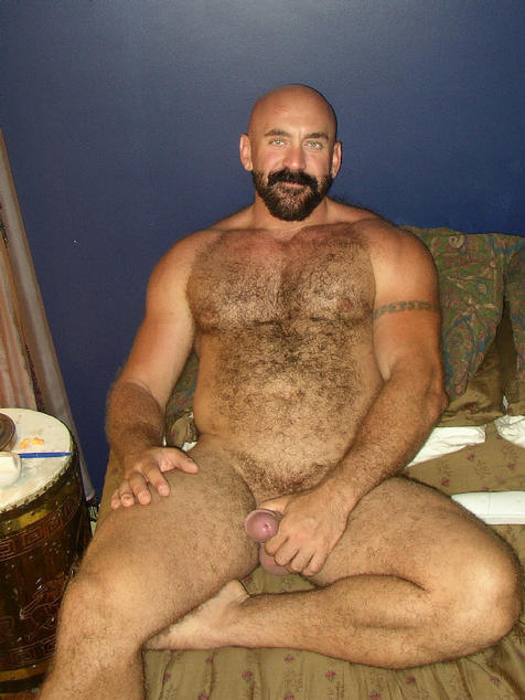 BearLovnCub