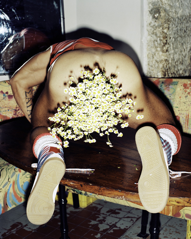 Sagat&rsquo;s blooming ass &hellip;..