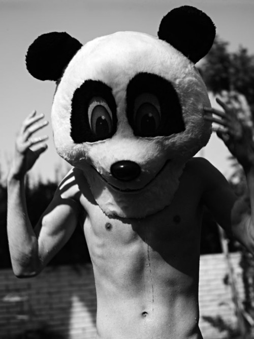 I am no bear, I am a Panda