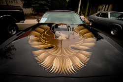 automotivated:    Firebird (by Garret Voight)