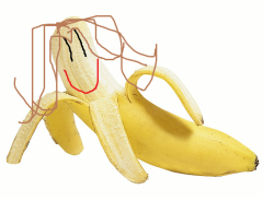 nataliamarcelino:  Gente, eu sou a Banana