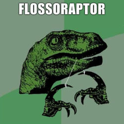 ohfuckyeahmemes:  Philosoraptor 