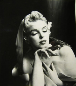 Vintagegal:  Marilyn Monroe By Cecil Beaton 1950’S 