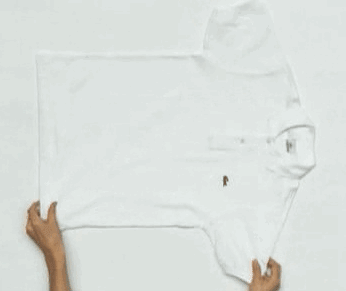 the-absolute-best-posts:  Click to follow this blog, you will be so glad you did!