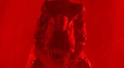 zOOmerbro