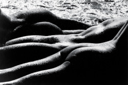 Les Géantes, Camargue Photo By Lucien Clergue, 1978