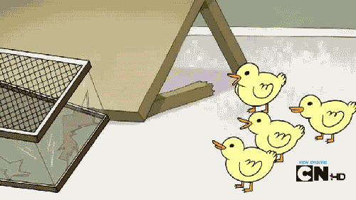 THESE DUCKS ARE THUGS.