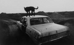 hauntedbystorytelling: Wim Wenders :: Dusk in Coober Pedy, South Australia, 1978 / via  secretcinema1   more [+] by Wim Wenders  