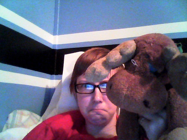 gaiaprincess1992:  randi gave me this moose my dogs tore its face off a tragic tale