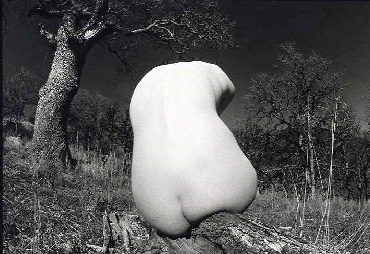 billyjane:  Female Nude with Tree,1970s by James Fee 
