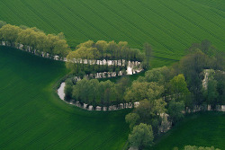 black-wolves:  River Sinuosity (by Aerial