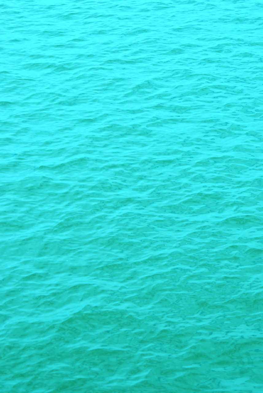 saltymist:  m3rmaid-mist:  http://m3rmaid-mist.tumblr.com &lt; click to be inspired 