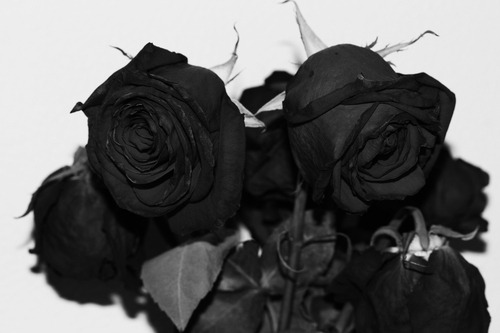  anthrodynia 